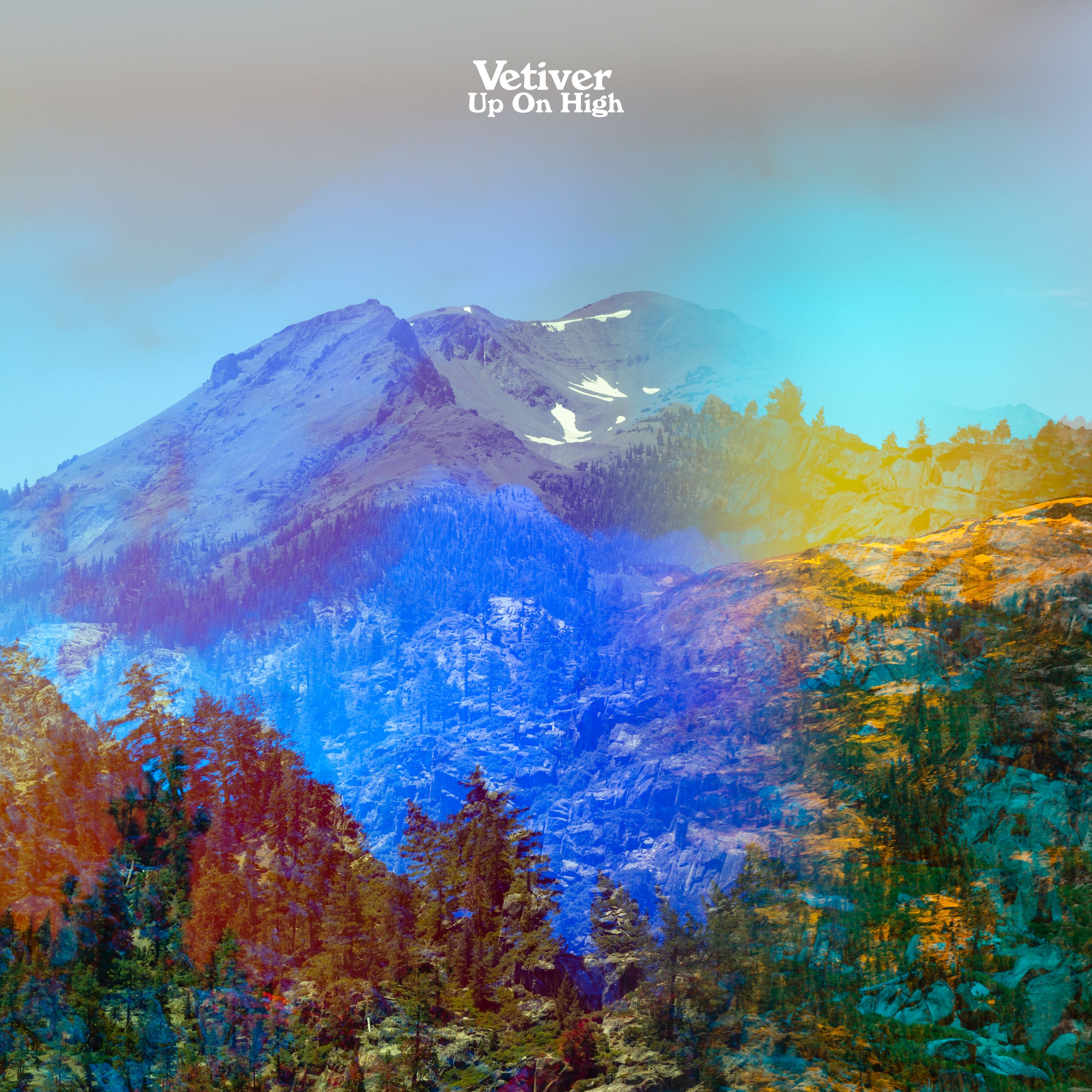 vetiver-up-on-high
