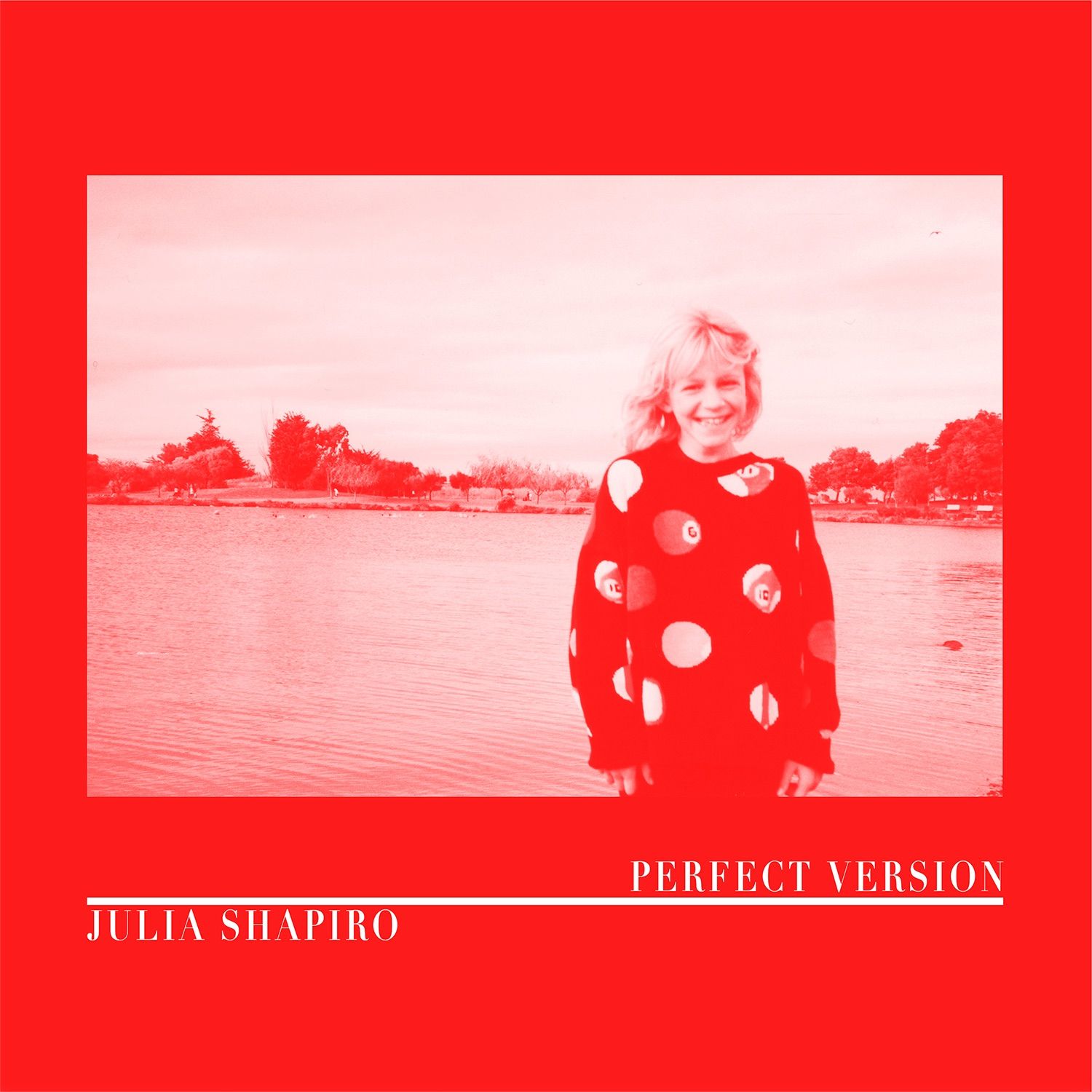 julia-shapiro-perfect-version