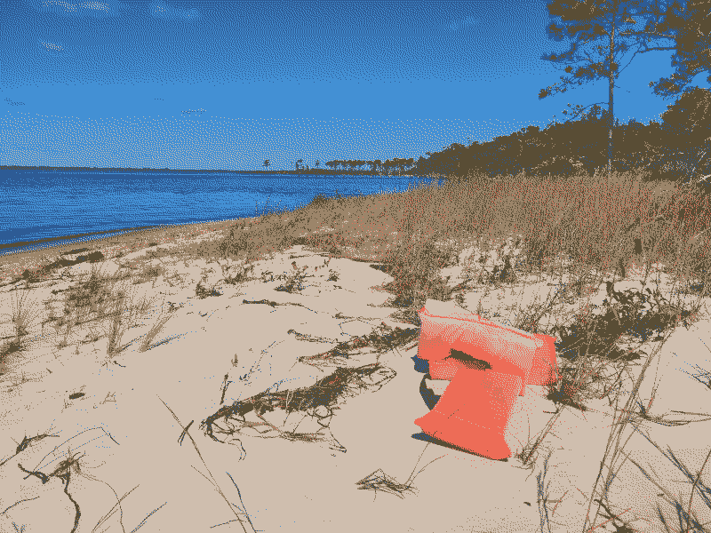 Life vest: orange, never worn