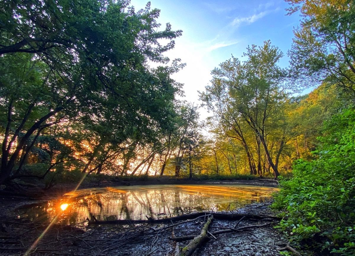 _images/sunset_pond_land_between_the_lakes_kentucky.jpeg