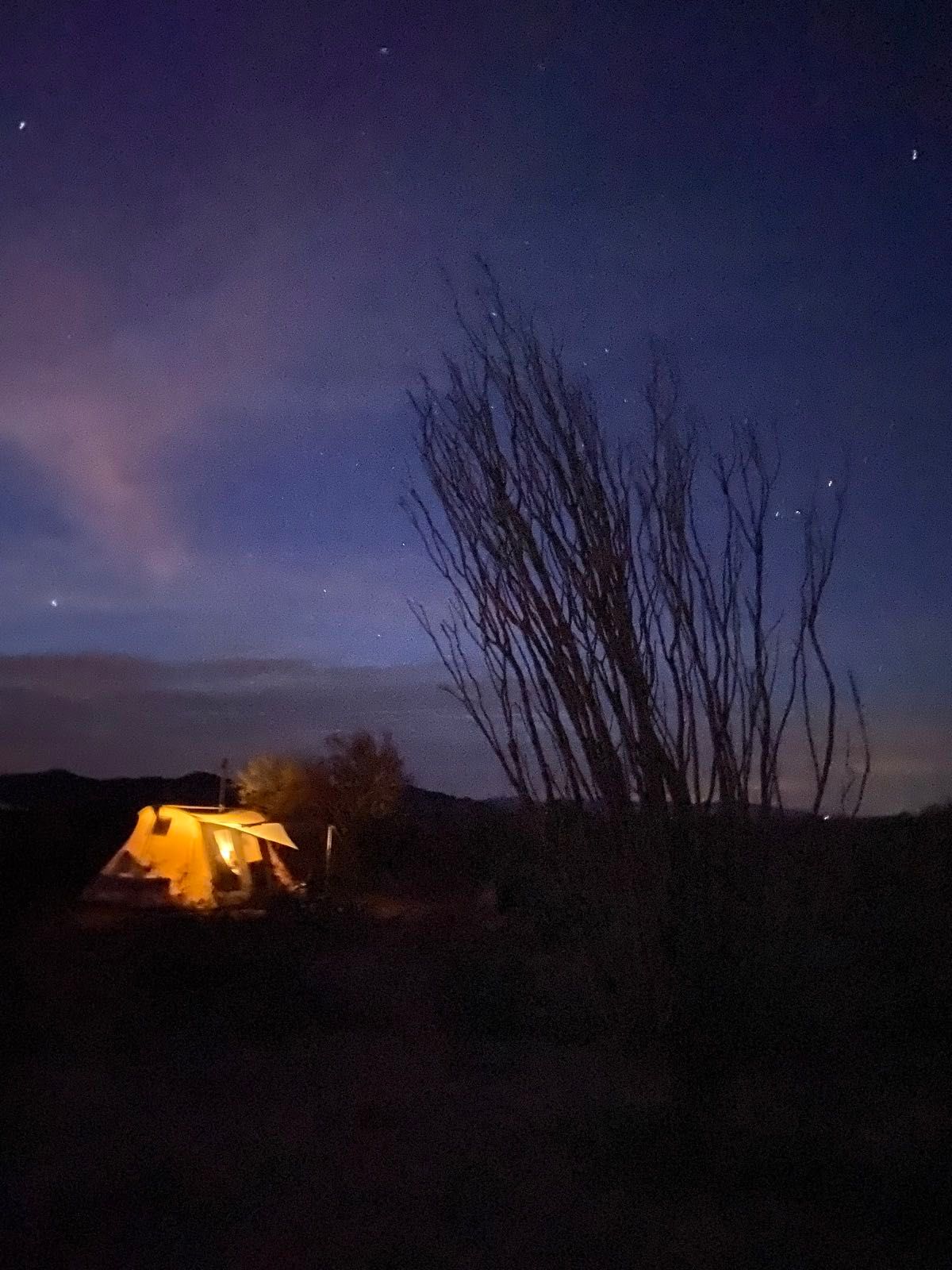 camping with the cholla in kofa wildlife refuge arizona