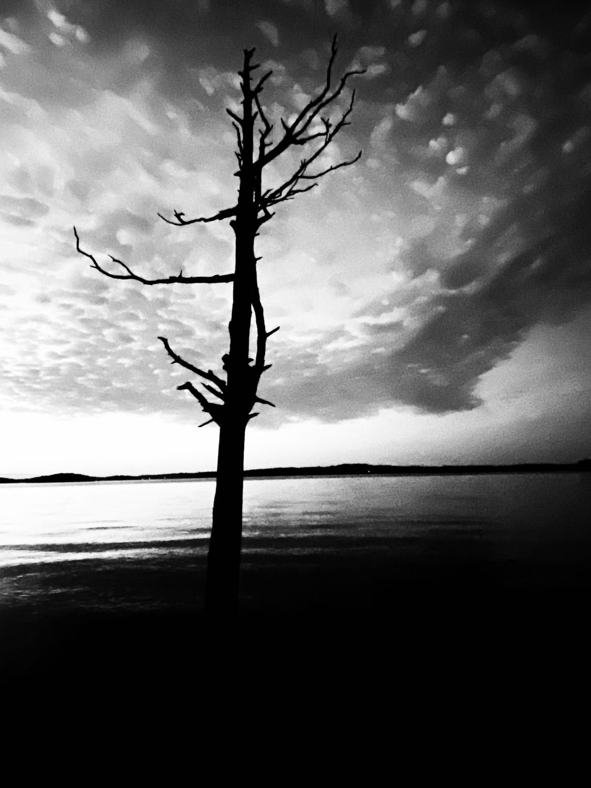 Silhouette over Percy Priest lake near Nashville, Tennessee.
