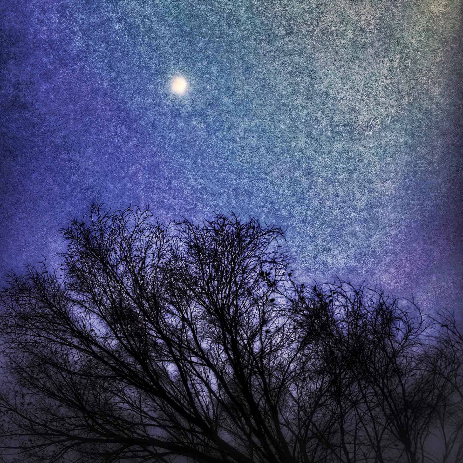 Starry night at Toad Suck campground in Arkansas