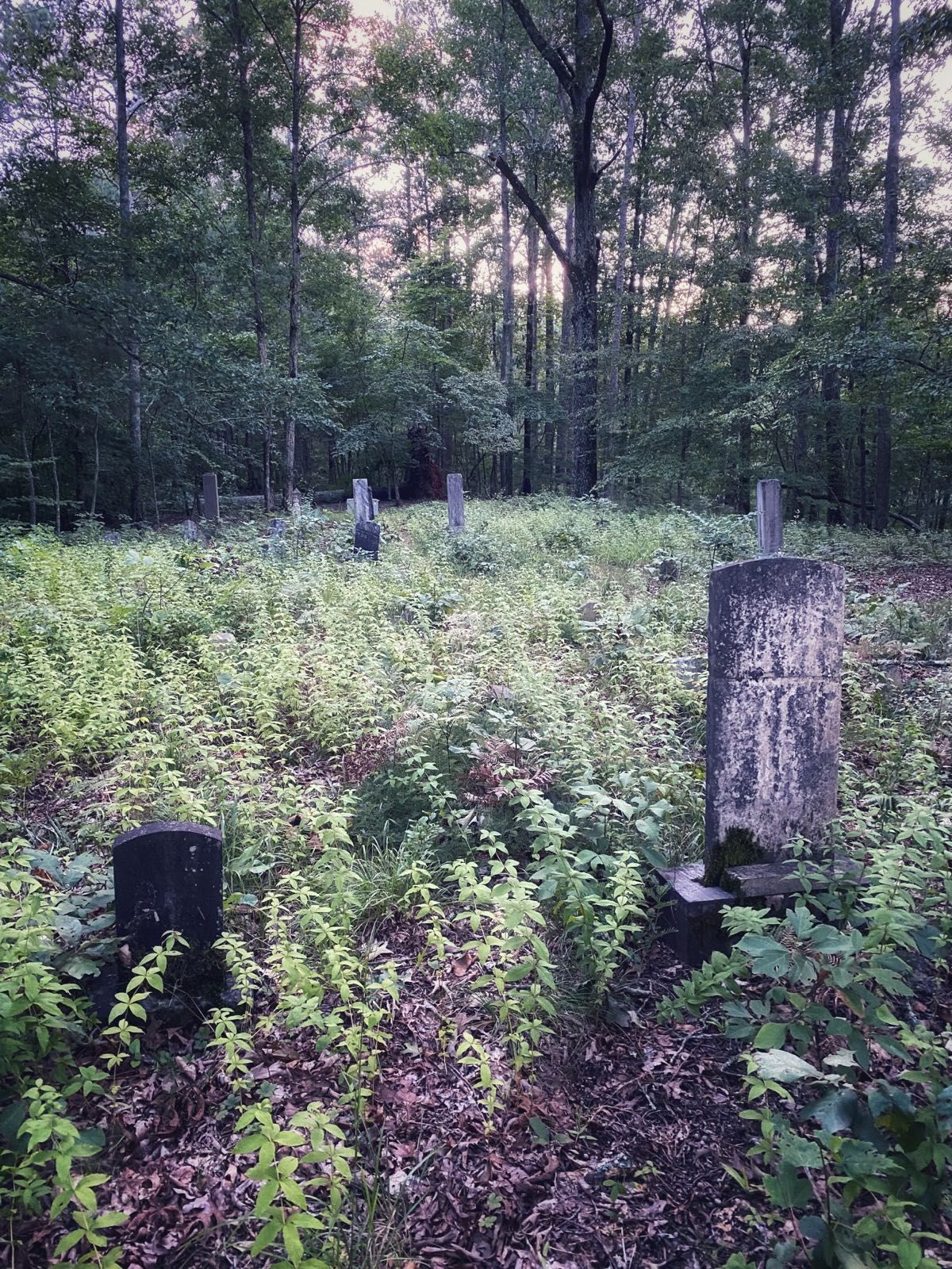 Came across an abandoned 1850s cemetery above Upper Stamp campground. Quite the lonely place.