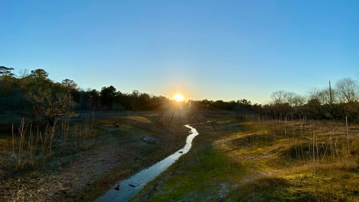 Sunset over Cellon creek at San Felasco Preserve in Gainesville, Florida