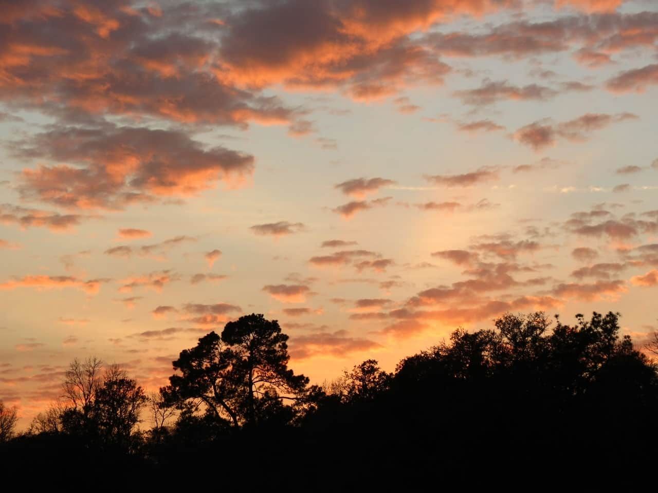 _images/global_souls_sunset_over_Suwannee_river-1.jpg