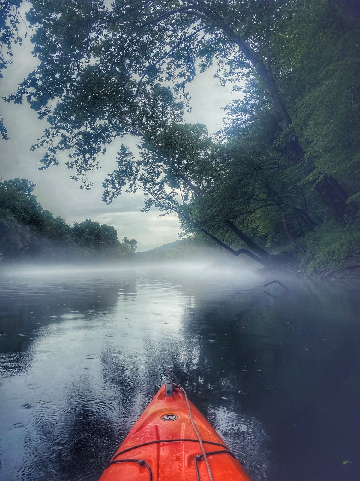 The Carney Fork river in Tennessee is usually misty in summers so it makes for a surreal kayak.