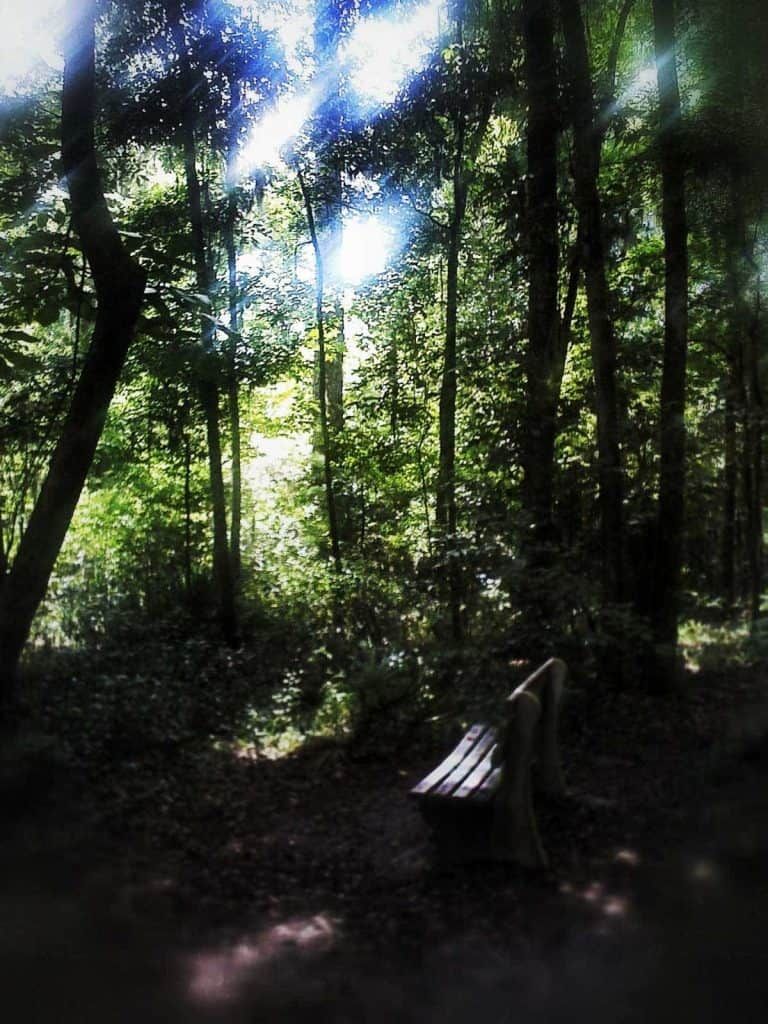 meditation_bench_