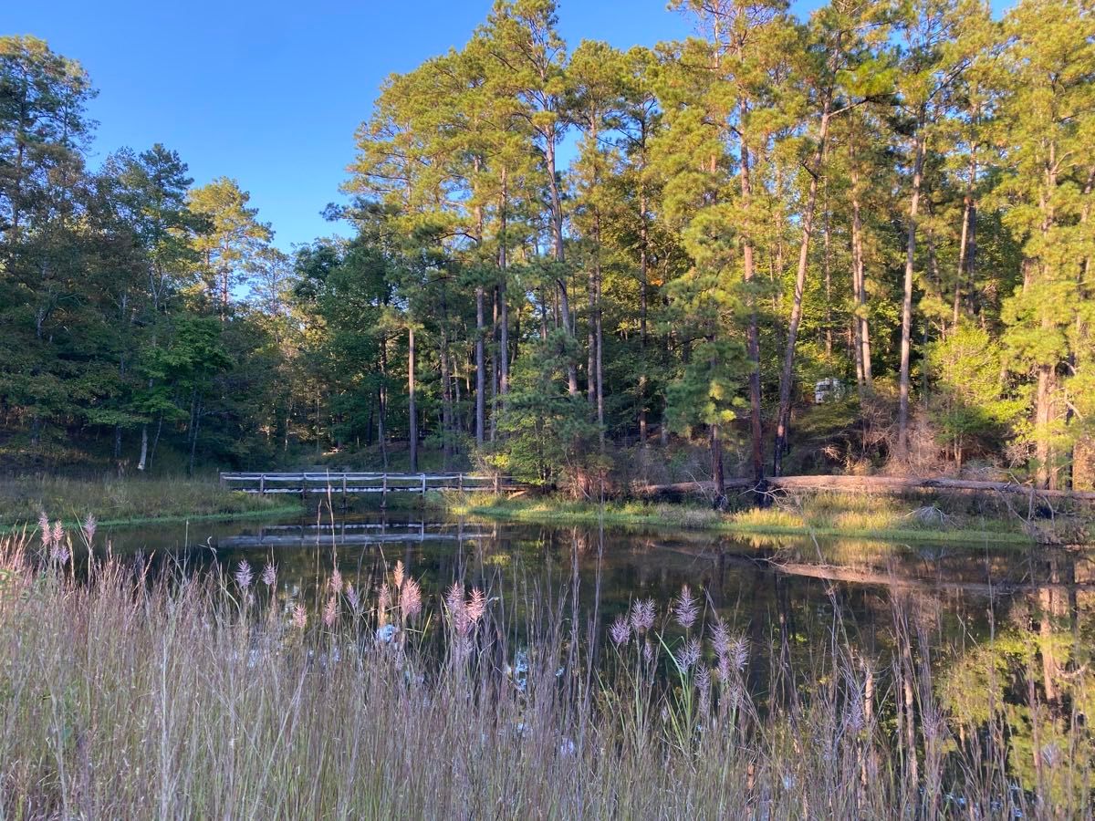 _images/Clear Springs campground @ Homochitto National forest.jpg