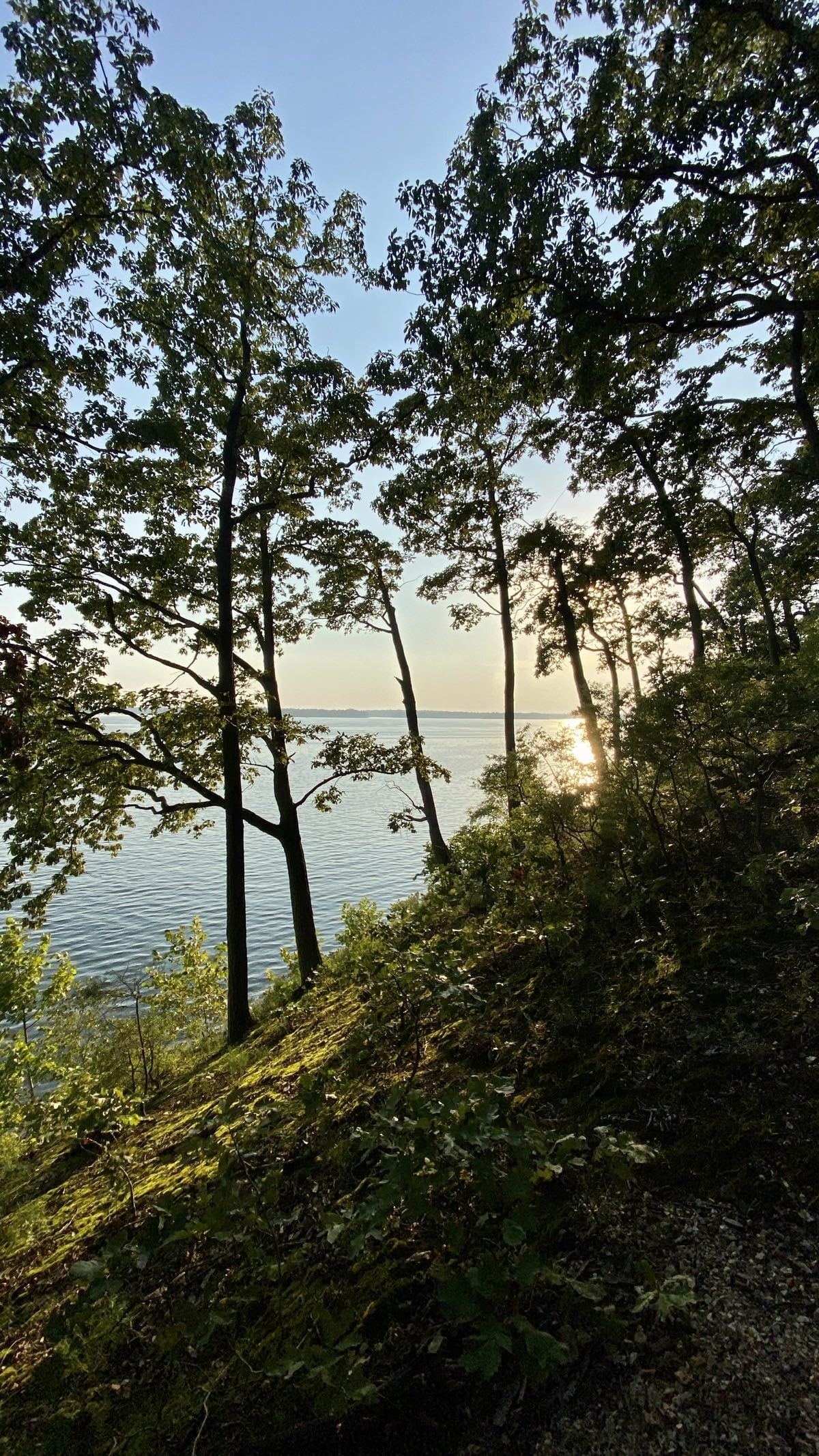 _images/cliff_view_trail_land_between_lakes.jpeg