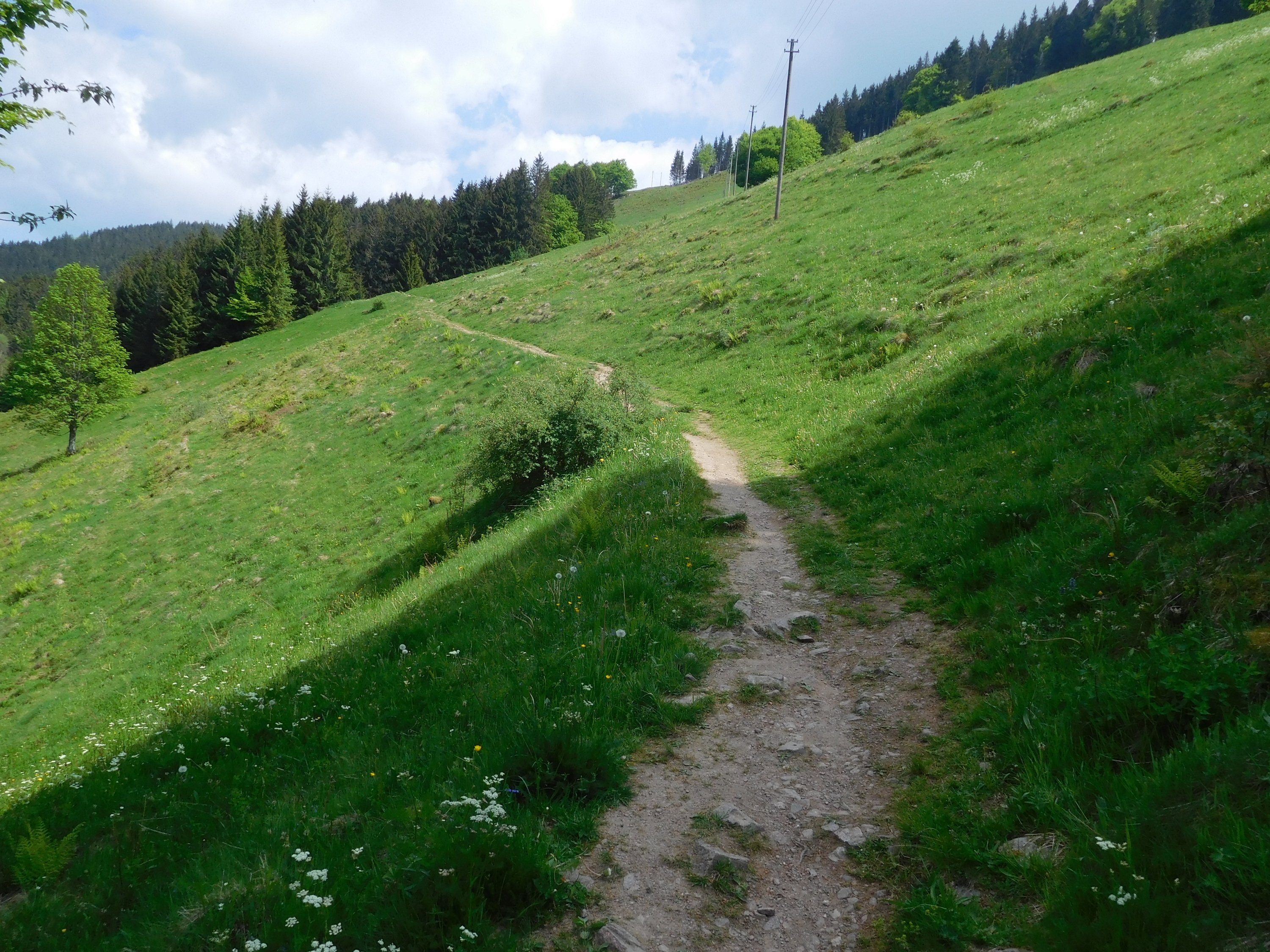 2017-05-25/DSCN6186.JPG