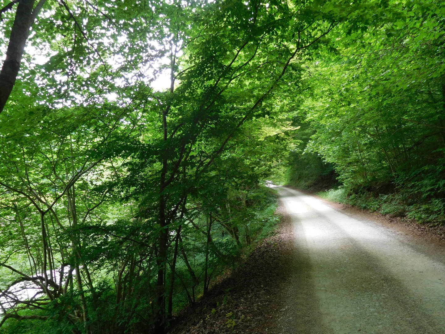 16:17:52