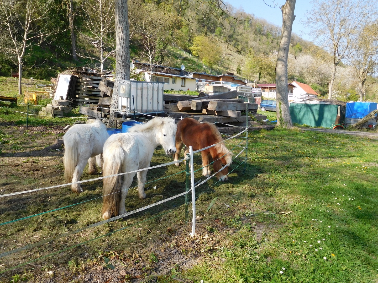 2017-04-08/DSCN4779.JPG