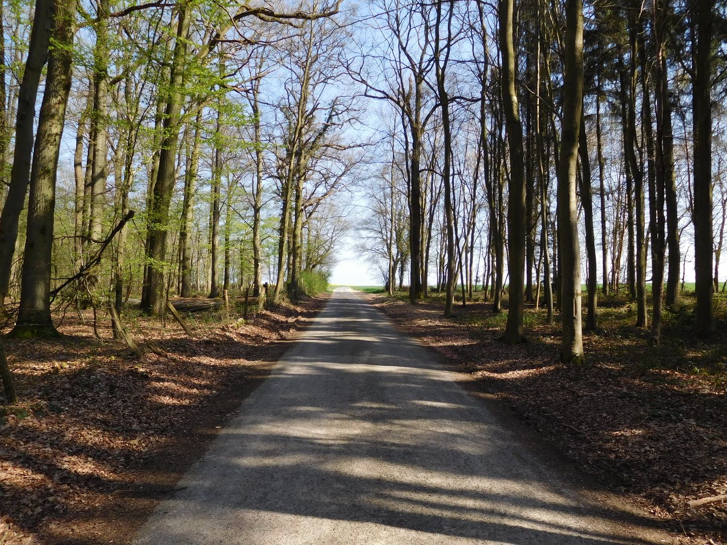 15:26:32