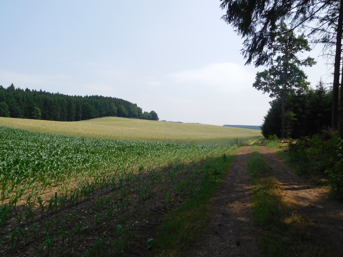 12:18:07