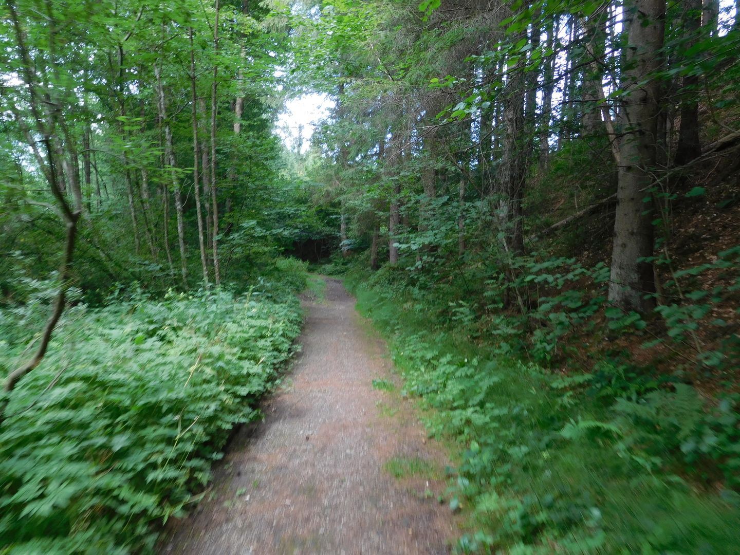 17:42:49