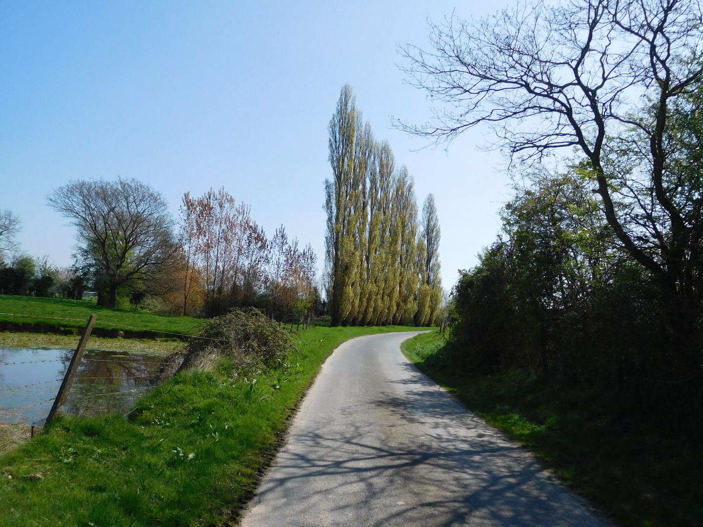 13:12:39