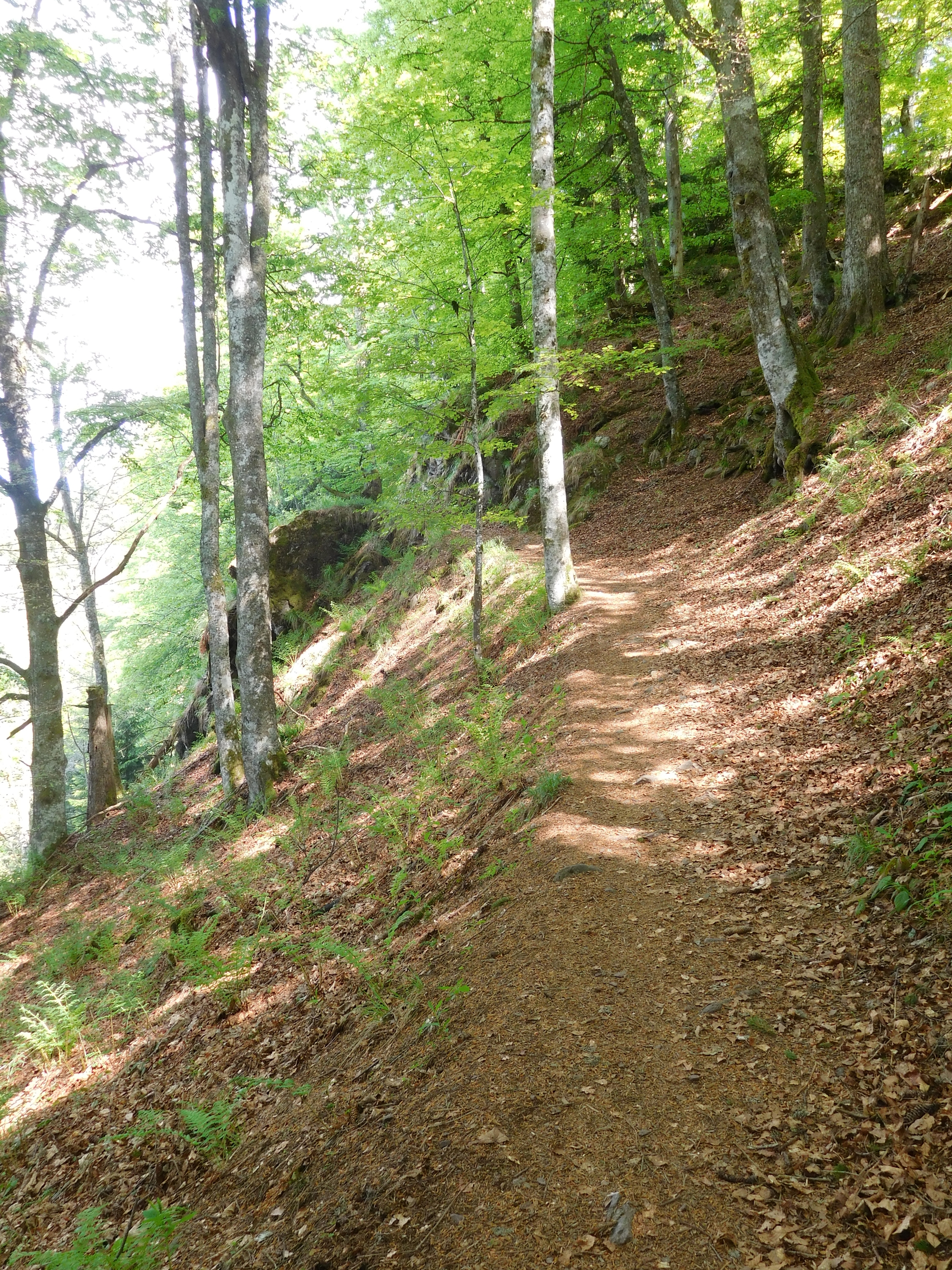 2017-05-25/DSCN6193.JPG