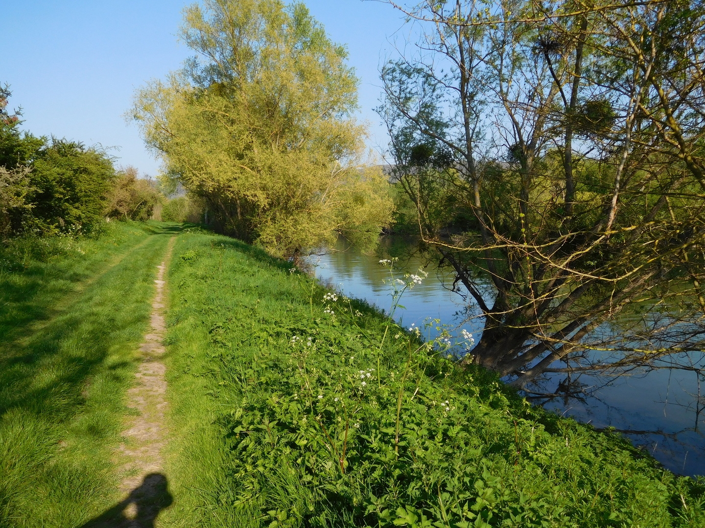 2017-04-08/DSCN4788.JPG