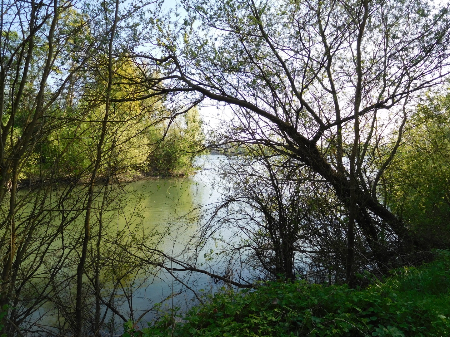 2017-04-08/DSCN4781.JPG