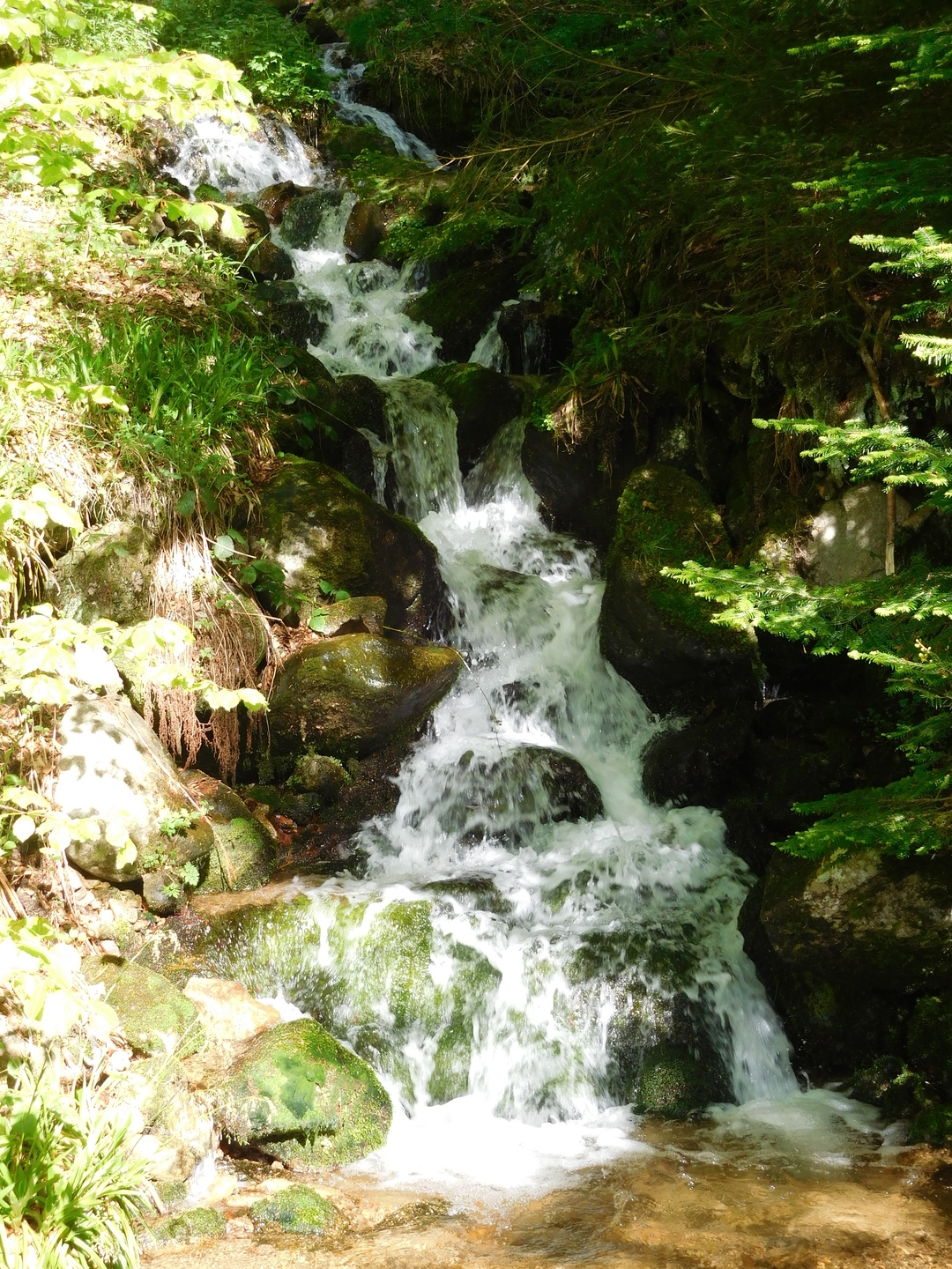 2017-05-17/DSCN5980.JPG