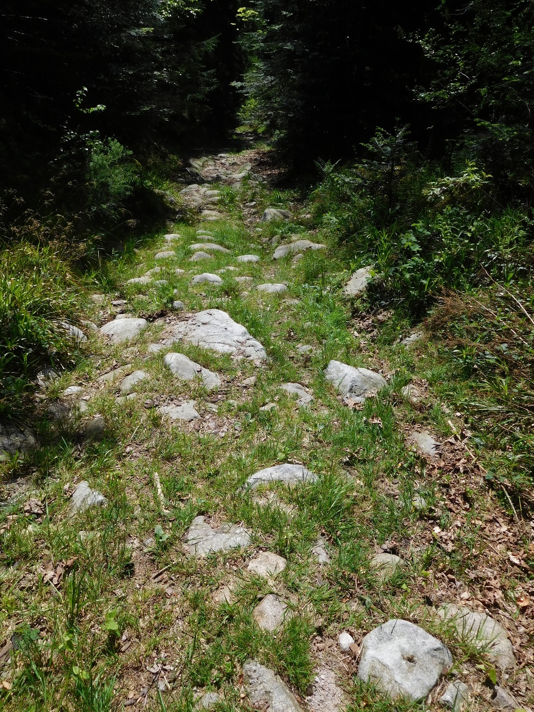 2017-05-17/DSCN5957.JPG