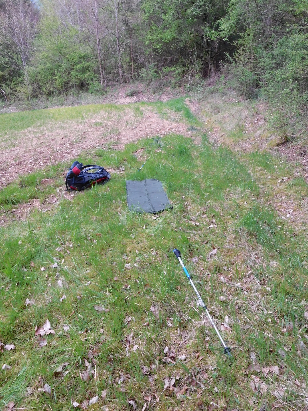 2017-04-30/DSCN5291.JPG