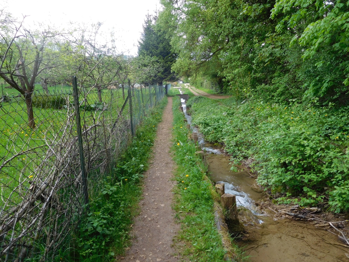 2017-05-02/DSCN5368.JPG