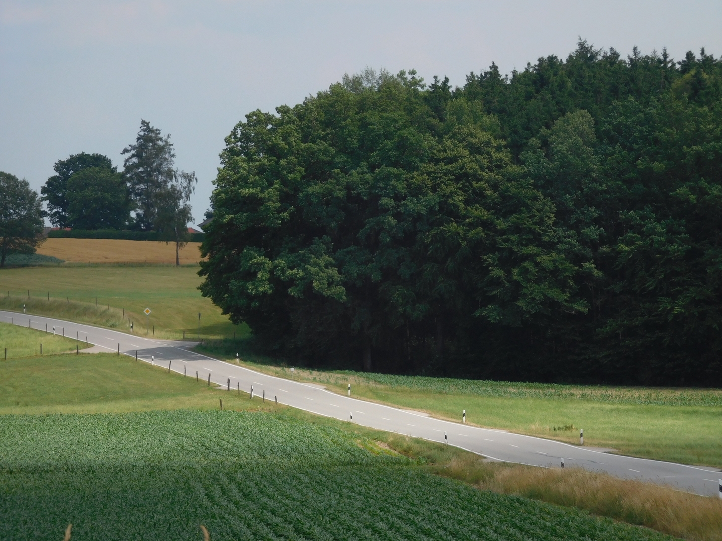 14:30:20: There it is, behind the trees