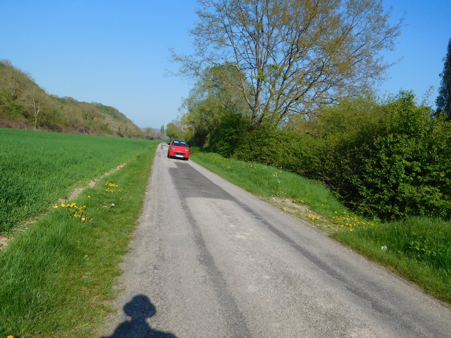 2017-04-08/DSCN4782.JPG