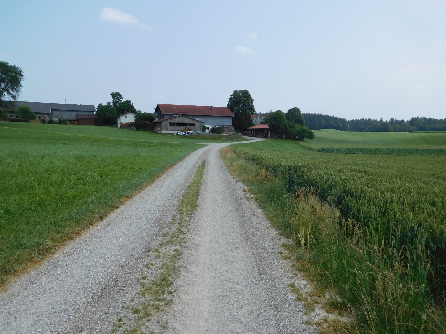 13:50:42
