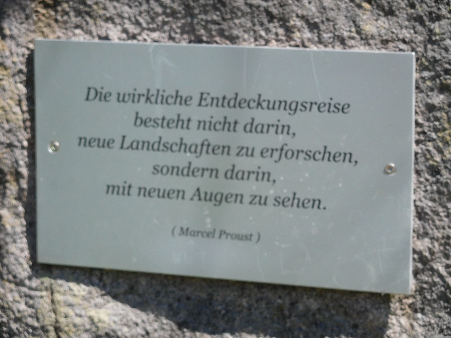 11:49:35: My path took me through one of those themed woodland walks. This one had inspiring quotes about nature, landscape, travel and the self. This quote from Marcel Proust reads: “A true journey of discovery doesn’t consist of exploring new landscapes, but rather, of seeing with new eyes.”
