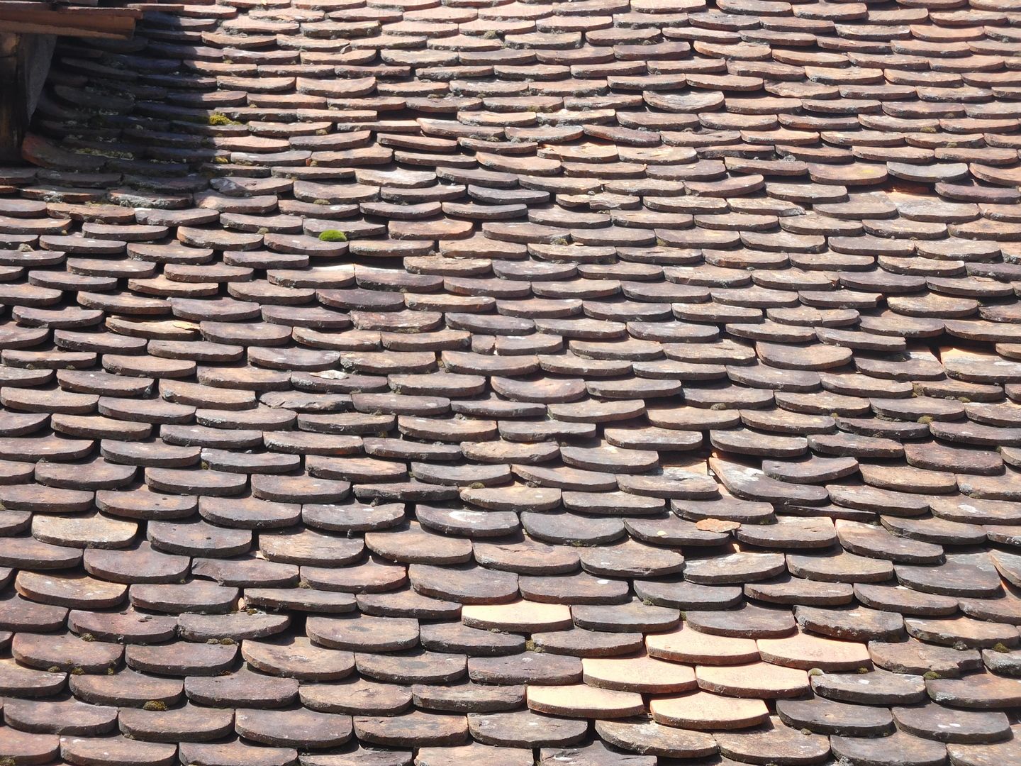 12:55:36
