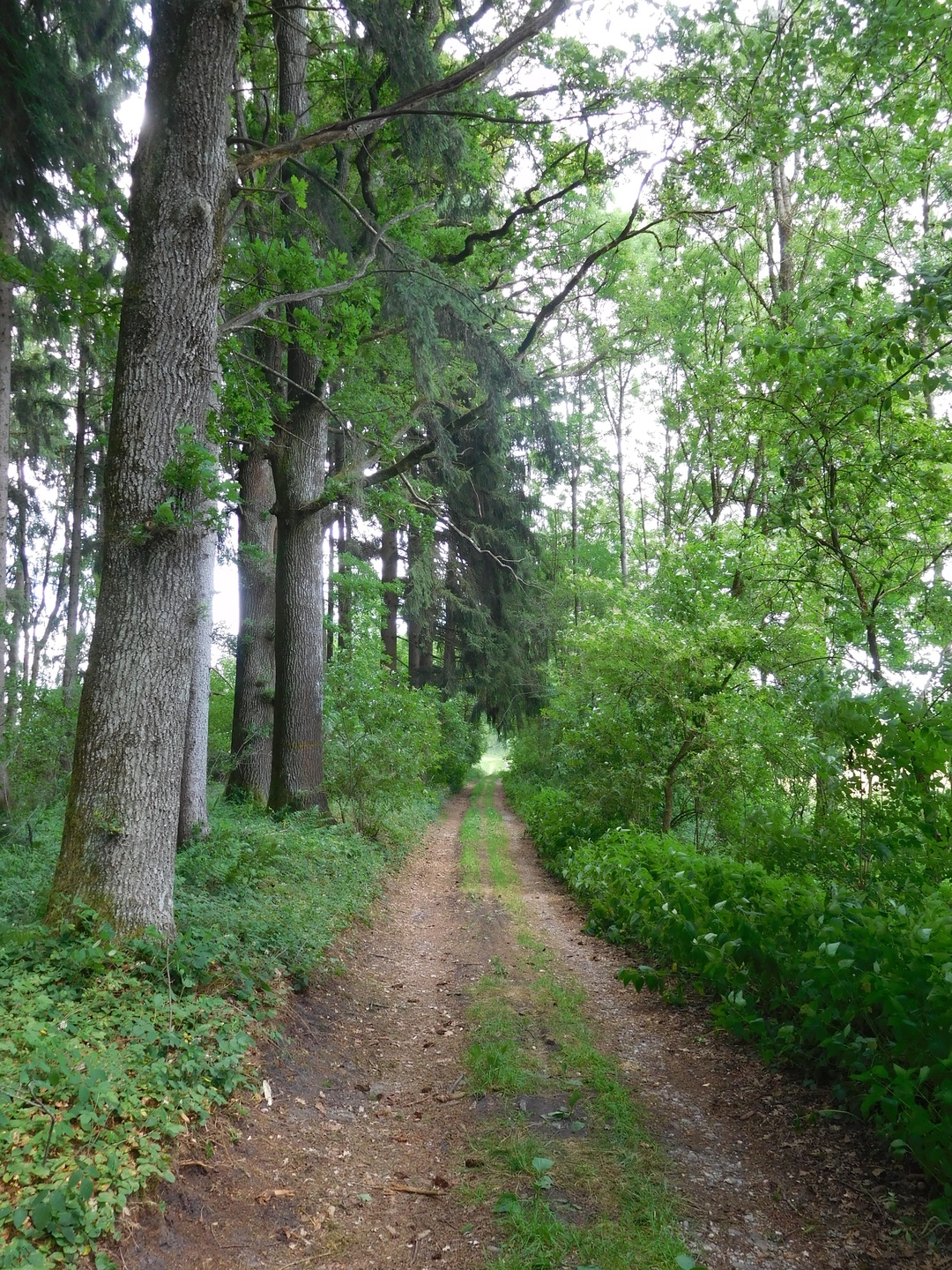 13:22:28