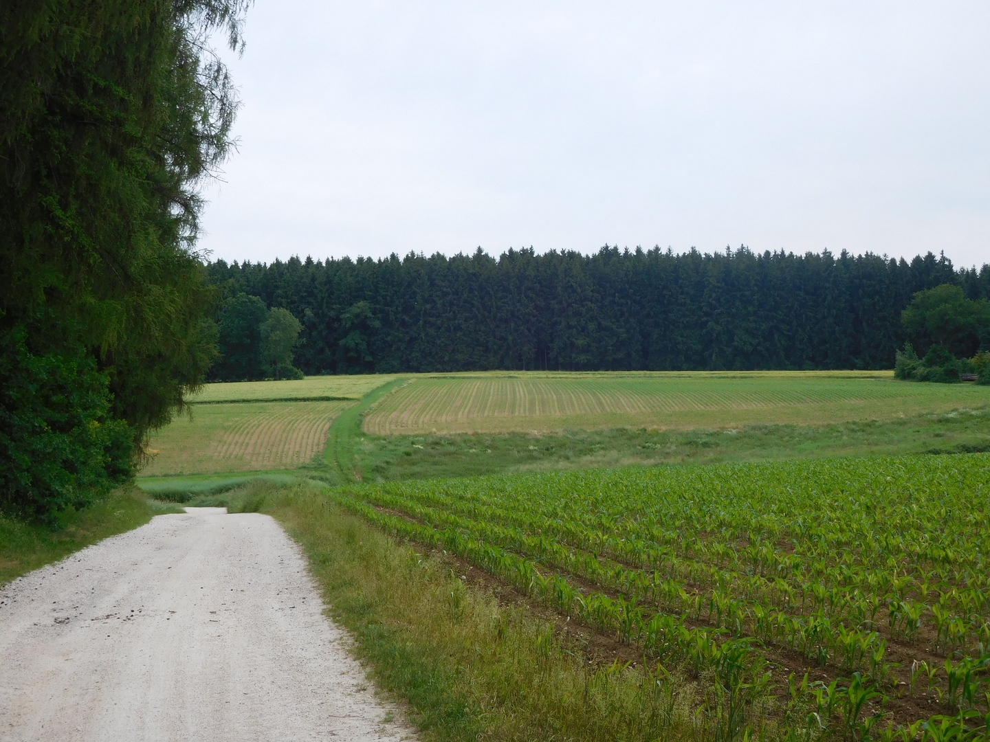 14:35:21