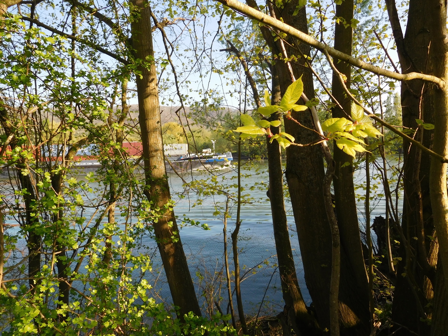 2017-04-08/DSCN4792.JPG