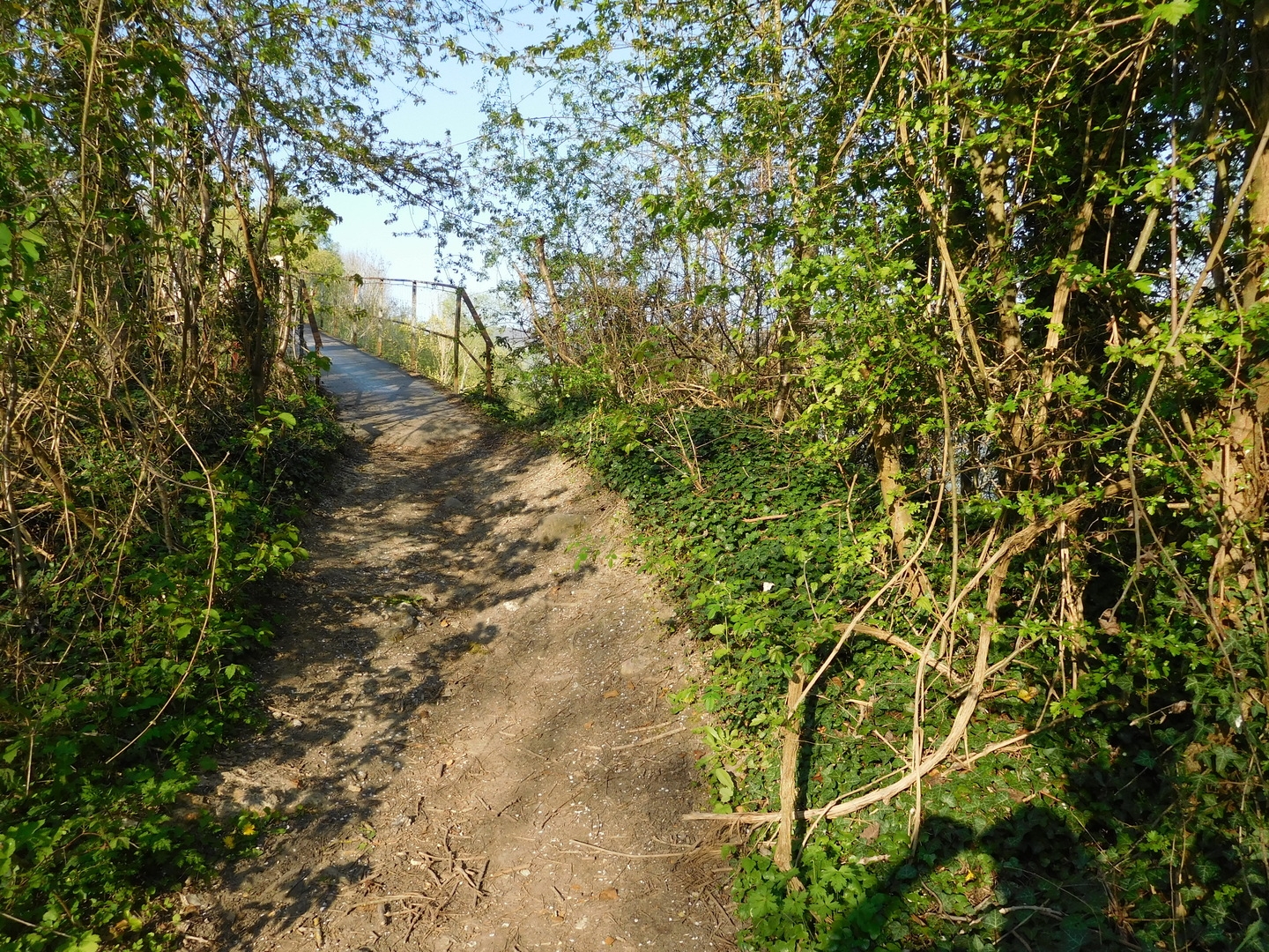 2017-04-08/DSCN4796.JPG