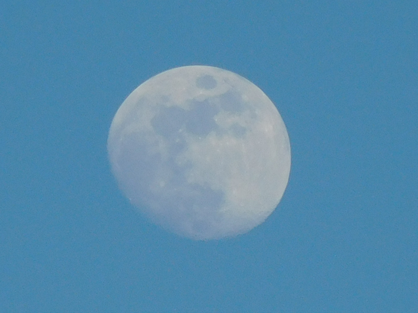 2017-04-08/DSCN4831.JPG