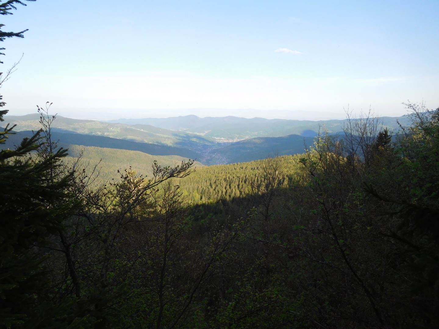 2017-05-17/DSCN6013.JPG