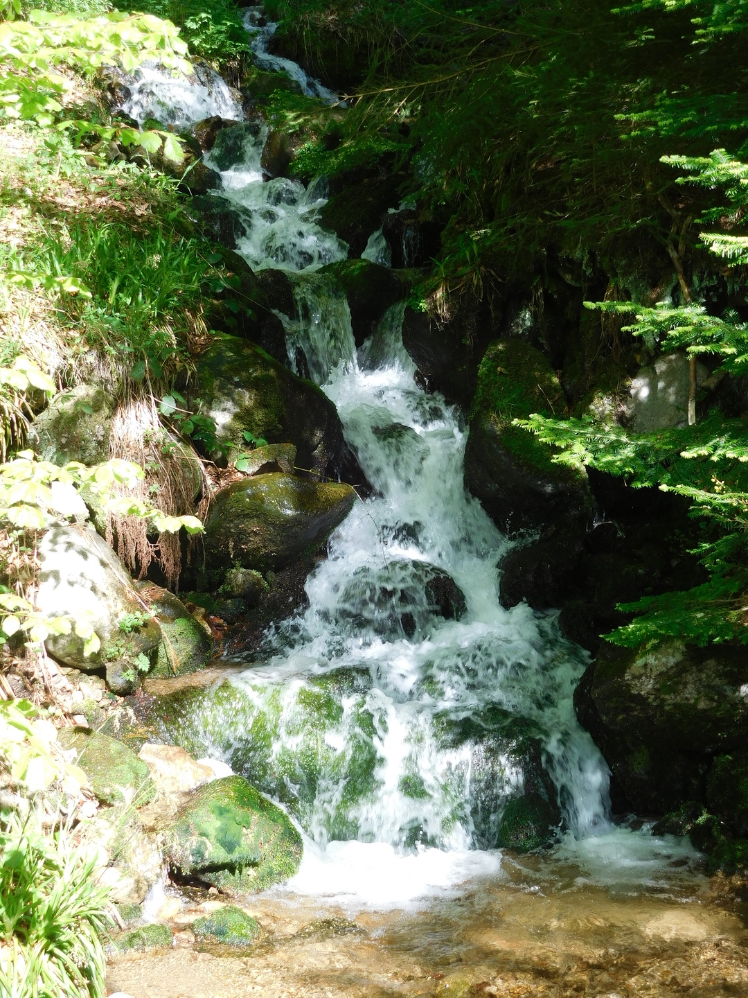 2017-05-17/DSCN5981.JPG