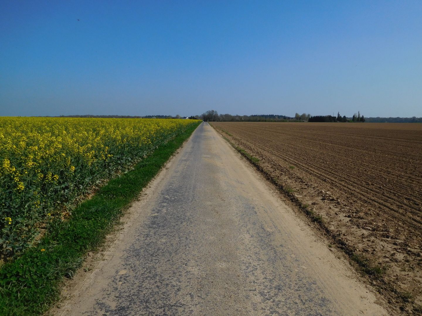 15:36:47