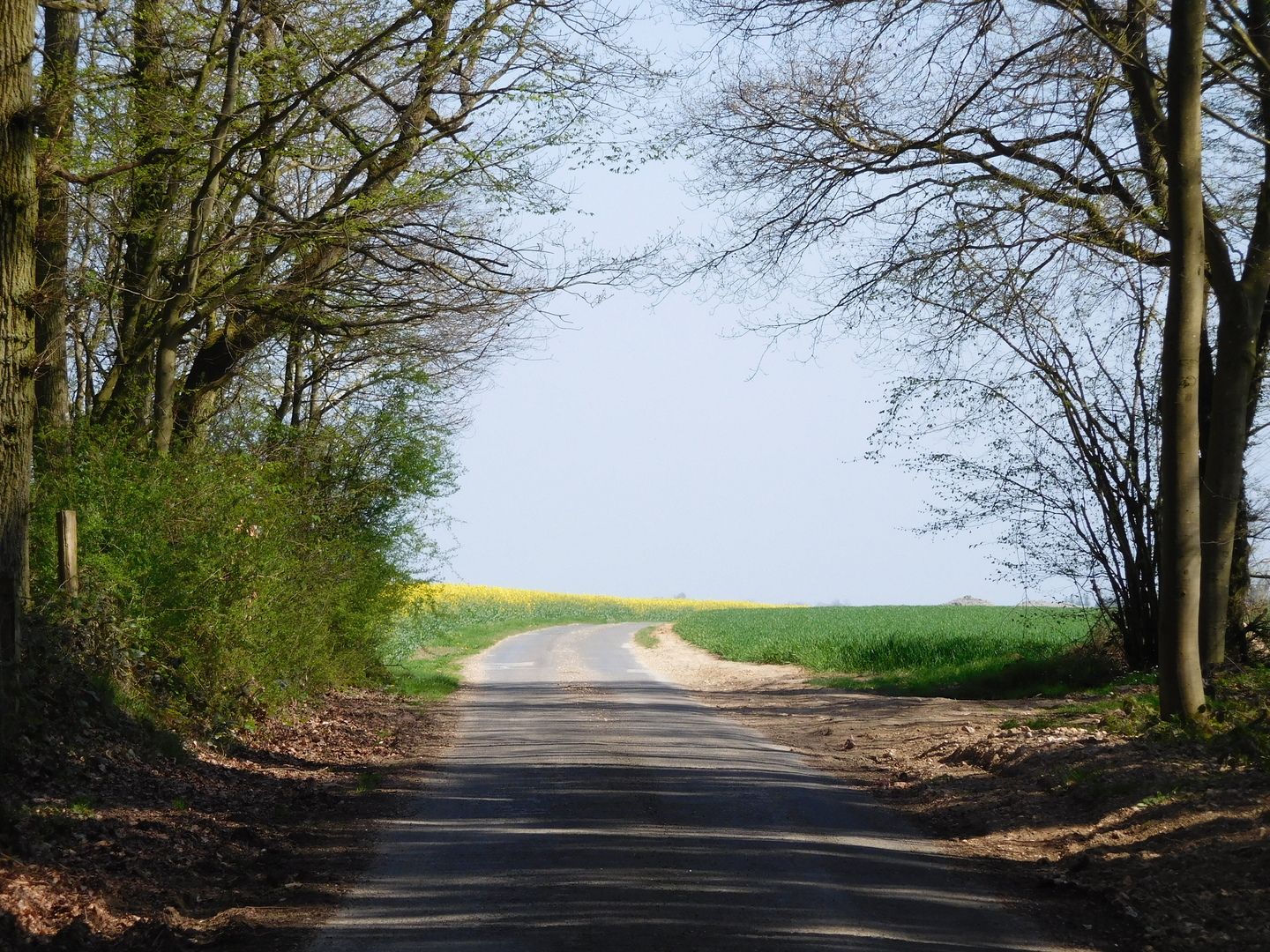 15:26:43