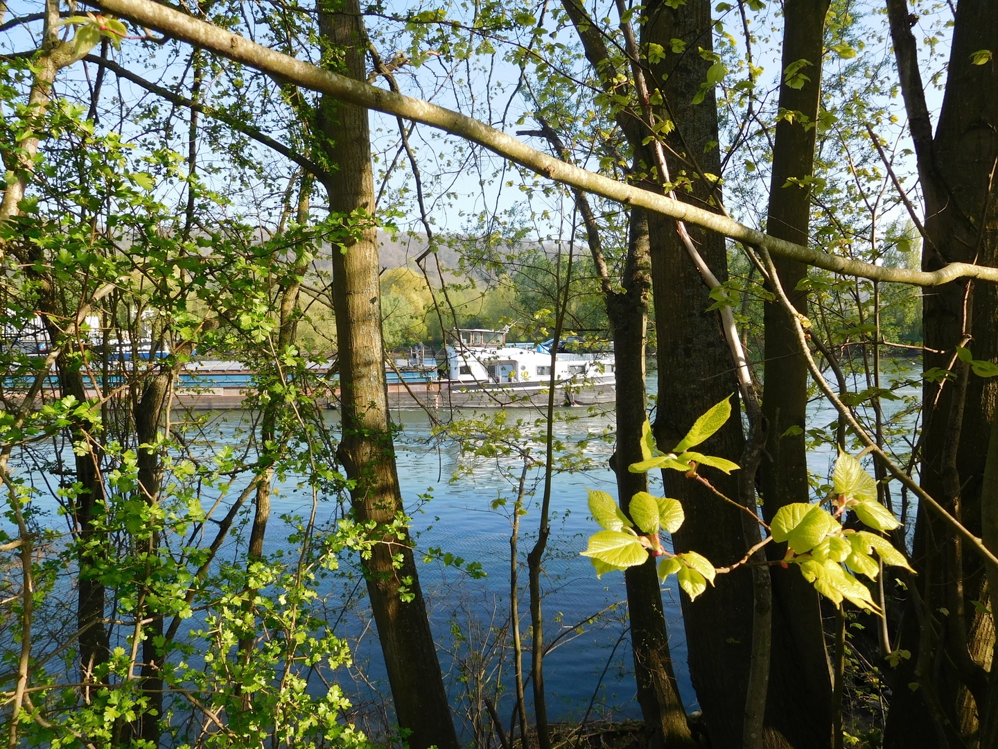 2017-04-08/DSCN4790.JPG
