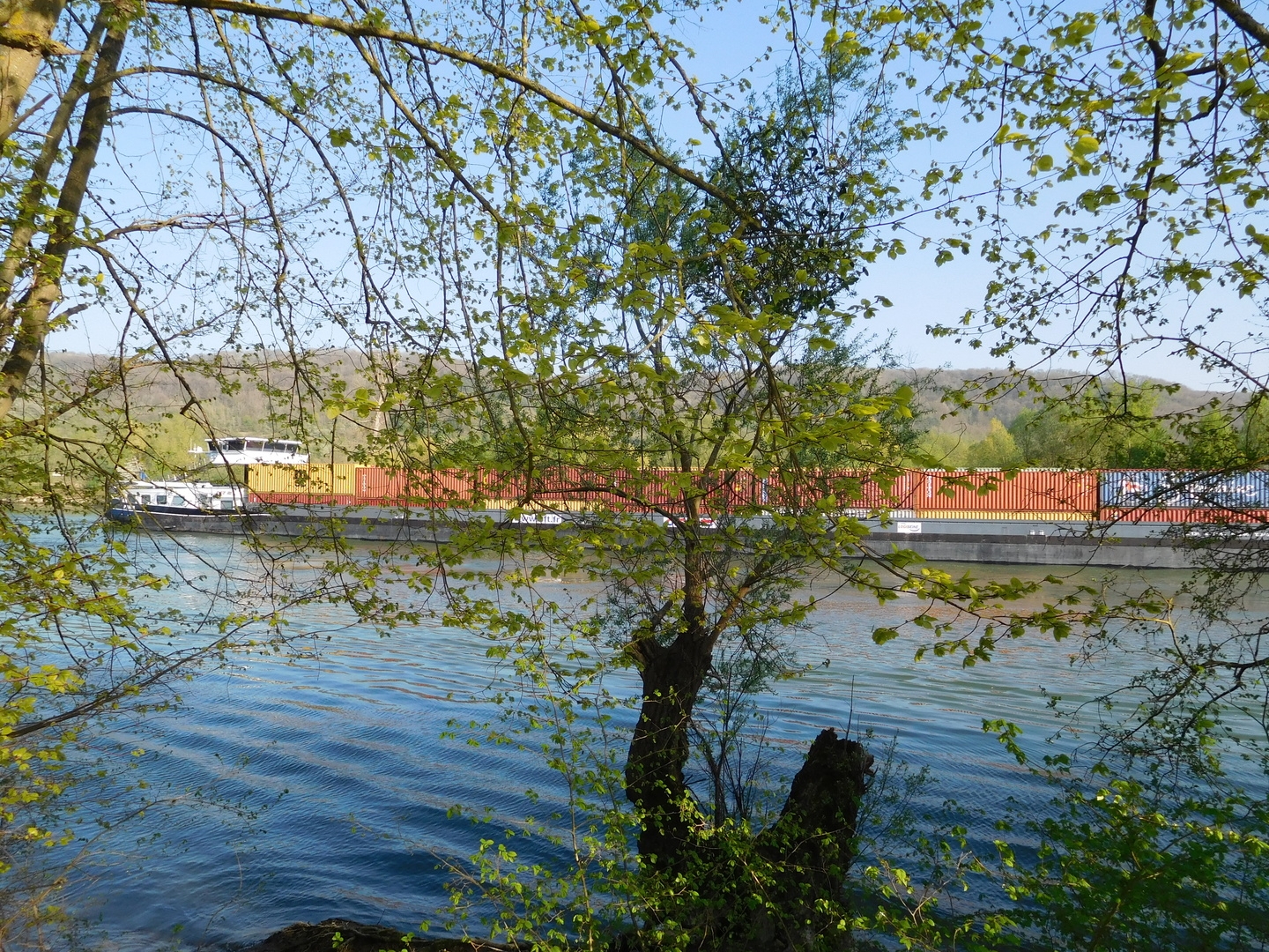 2017-04-08/DSCN4793.JPG