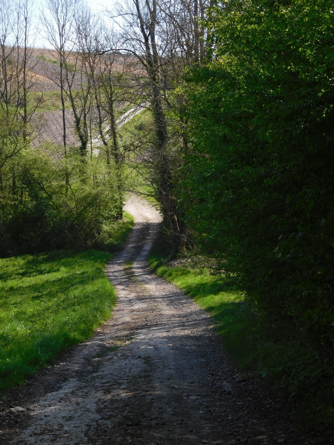 2017-04-24/DSCN5145.JPG