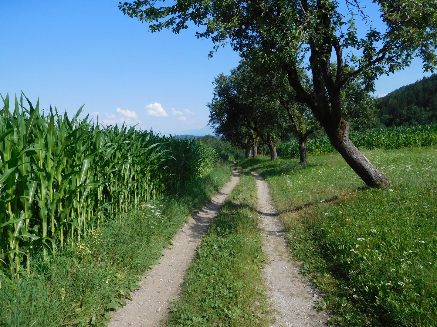 16:39:04
