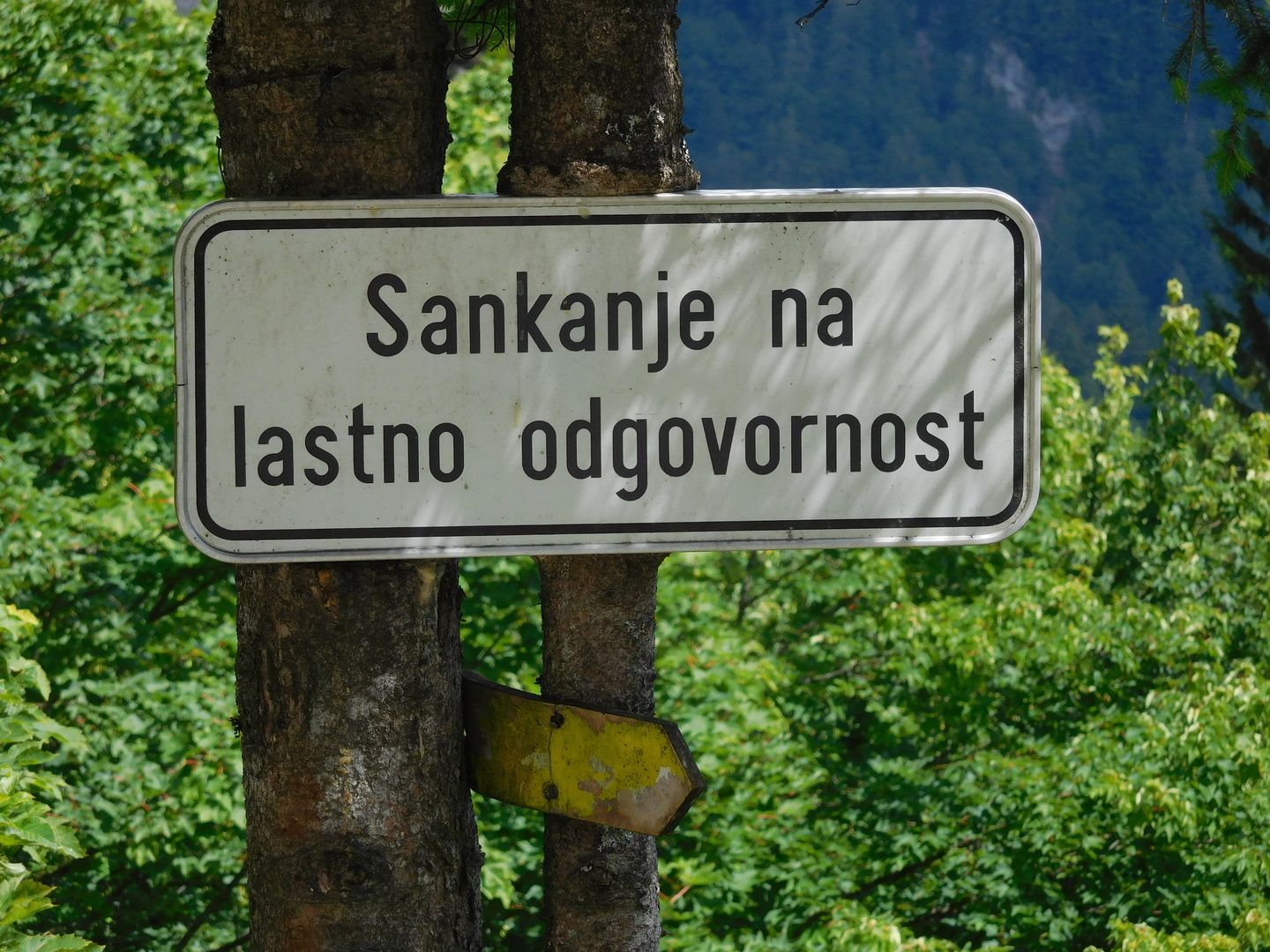 14:51:52