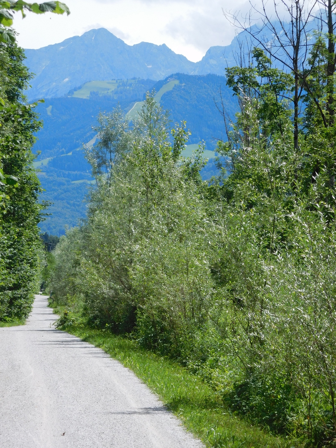 14:50:37