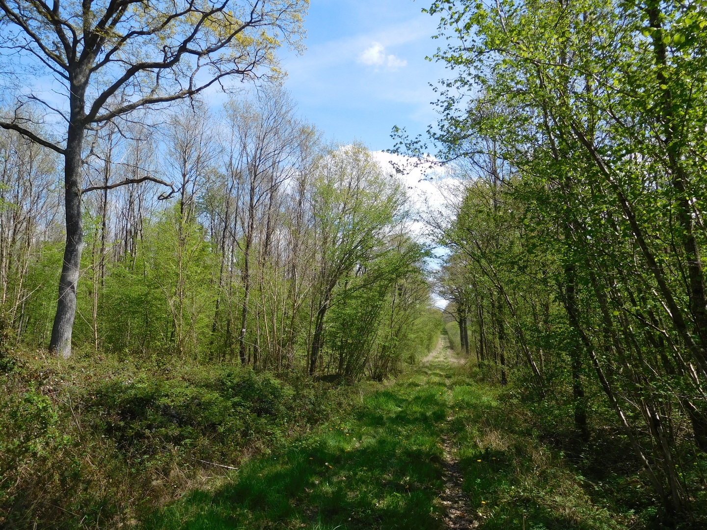 2017-05-02/DSCN5353.JPG