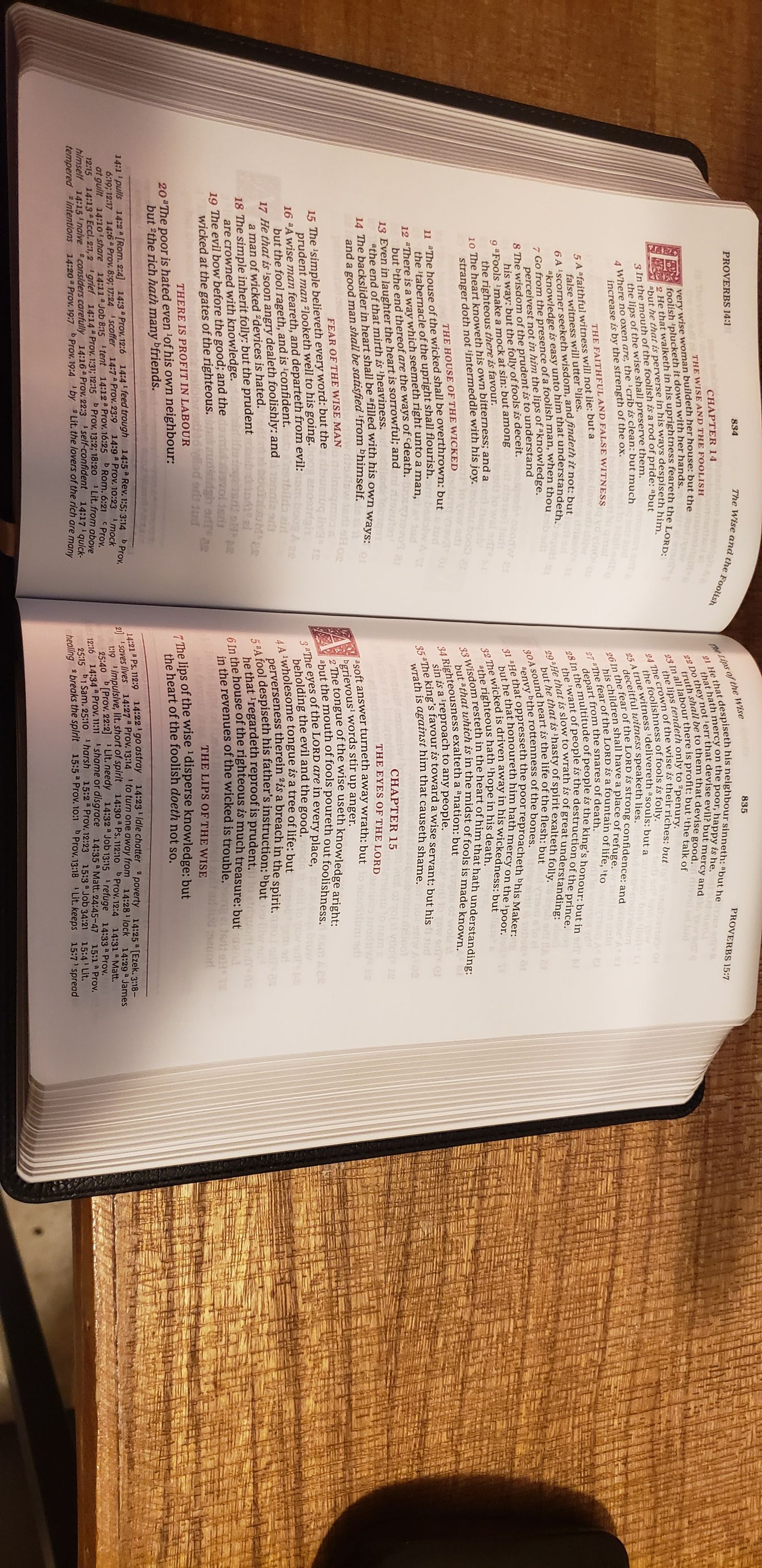Open bible showing Proverbs
